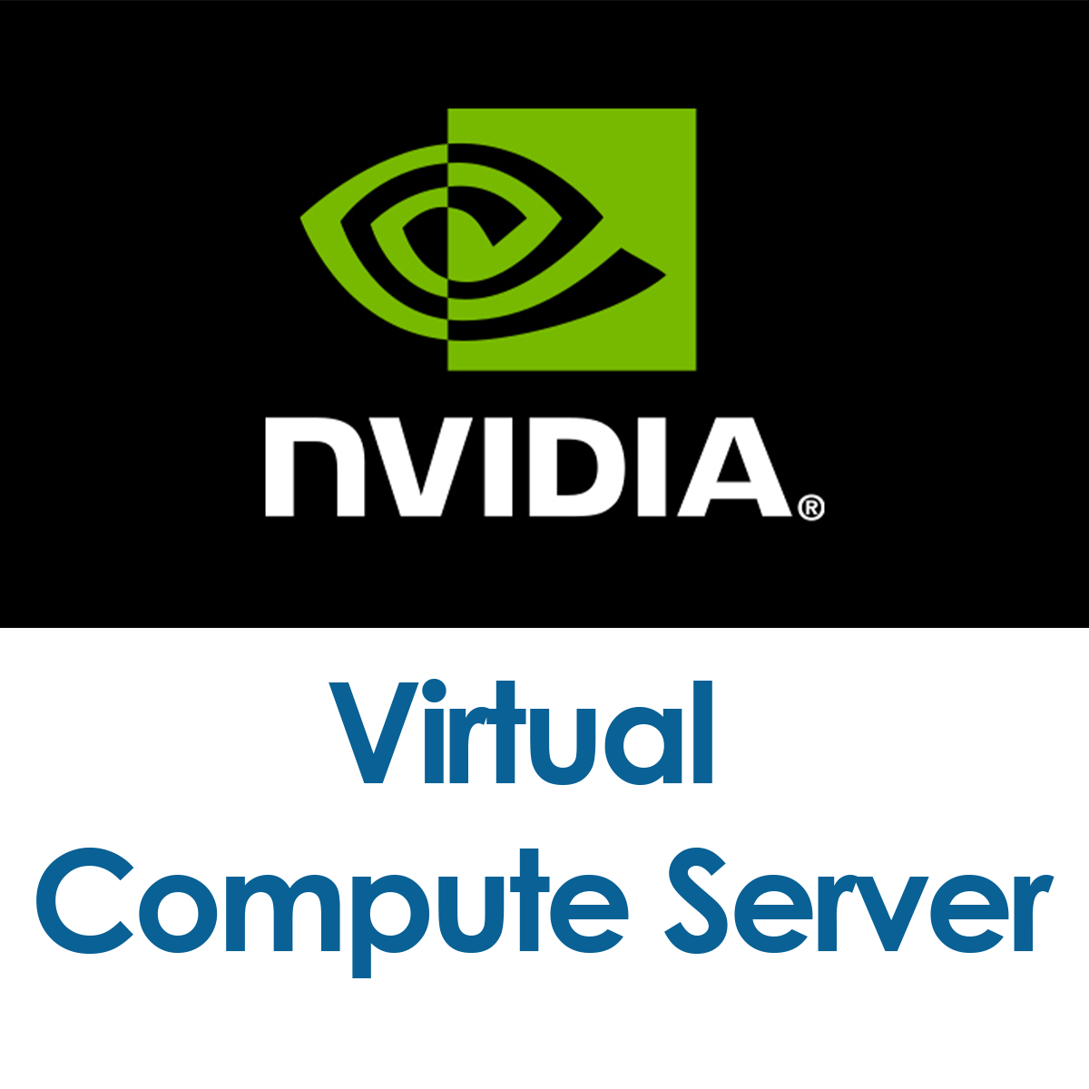 NVIDIA vCS